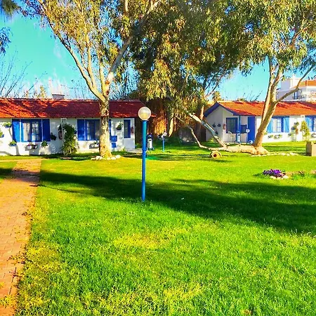 Mavi Zeytin Butik Bed & Breakfast Seferihisar