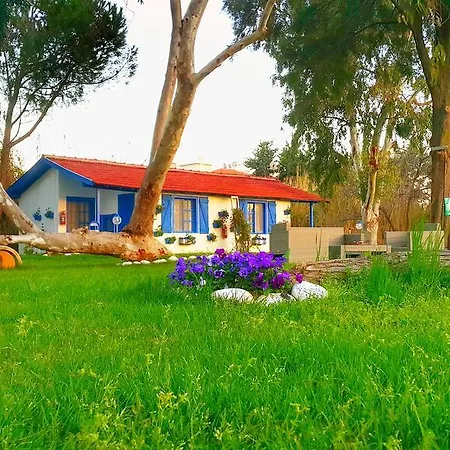 Mavi Zeytin Butik * Seferihisar