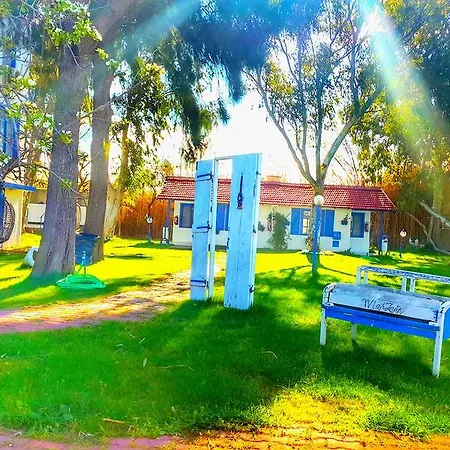 Bed & Breakfast Mavi Zeytin Butik *