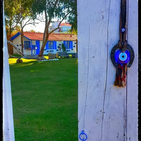 Mavi Zeytin Butik *
