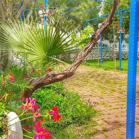 Mavi Zeytin Butik