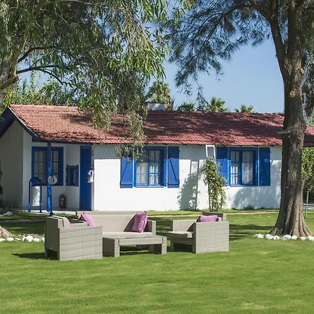Mavi Zeytin Butik Bed & Breakfast