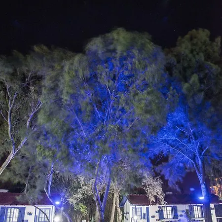 Bed & Breakfast Mavi Zeytin Butik Seferihisar