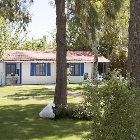 Mavi Zeytin Butik Seferihisar