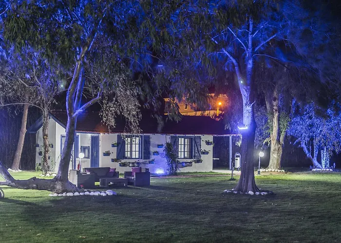 Mavi Zeytin Butik Seferihisar