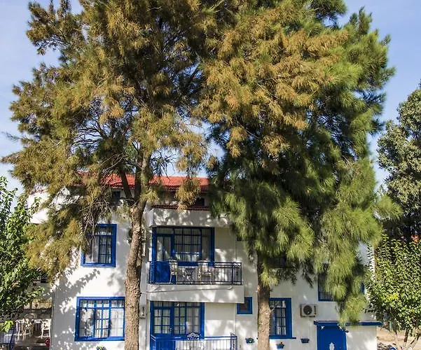 Mavi Zeytin Butik Seferihisar