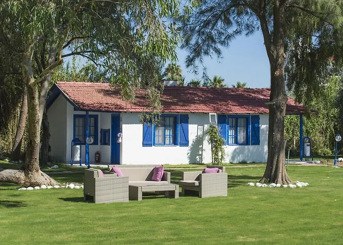 Mavi Zeytin Butik Bed & Breakfast