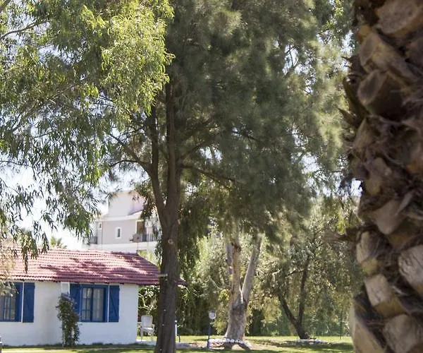 Mavi Zeytin Butik Bed & Breakfast *