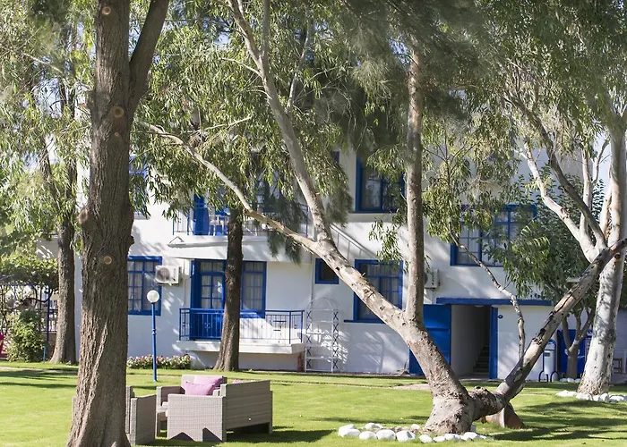 Mavi Zeytin Butik Bed & Breakfast Seferihisar