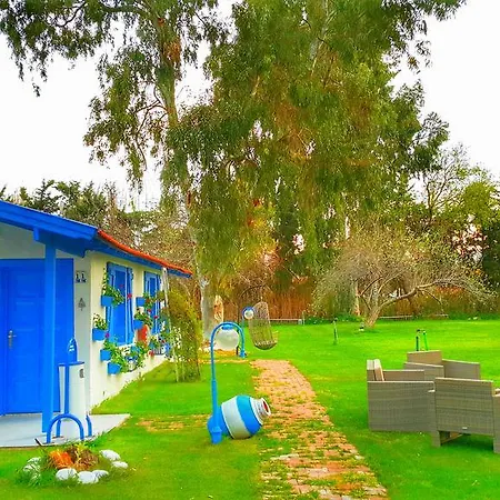 Mavi Zeytin Butik Panzió *