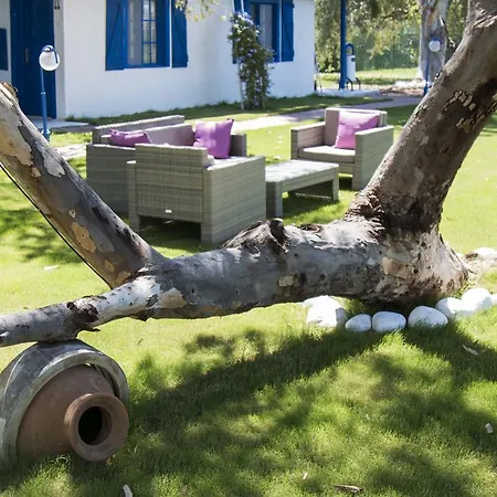 Panzió Mavi Zeytin Butik Seferihisar