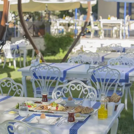 Mavi Zeytin Butik * 塞费里希萨尔