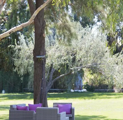 Mavi Zeytin Butik Bed & Breakfast Seferihisar