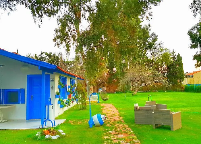 Mavi Zeytin Butik Bed & Breakfast *