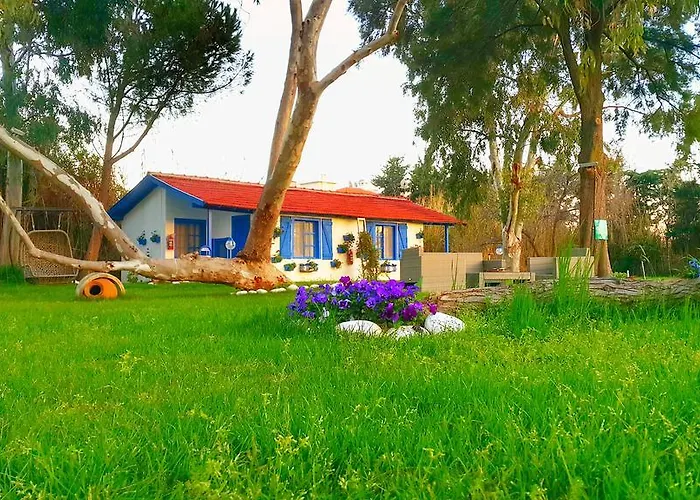 Mavi Zeytin Butik * Seferihisar