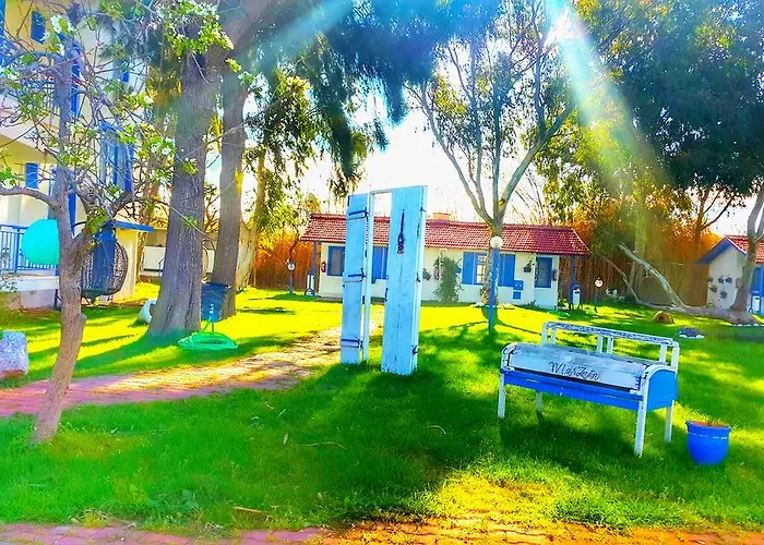 Bed & Breakfast Mavi Zeytin Butik *