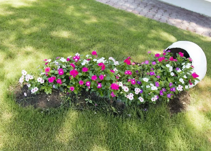 Bed & Breakfast Mavi Zeytin Butik *