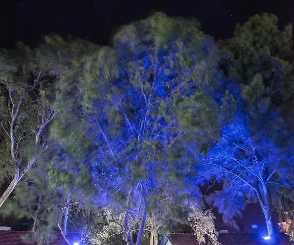 Bed & Breakfast Mavi Zeytin Butik Seferihisar