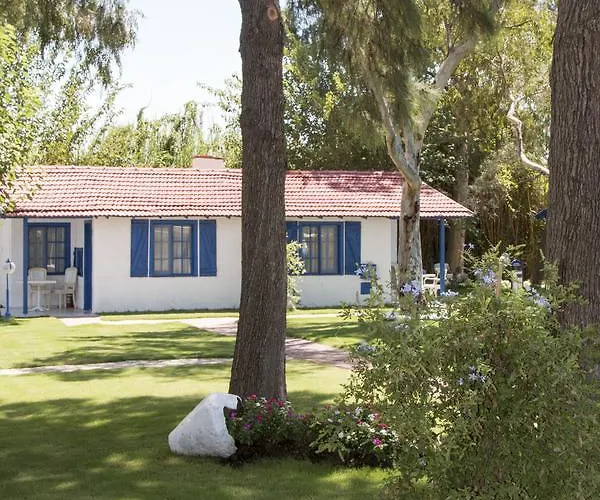 Mavi Zeytin Butik Seferihisar