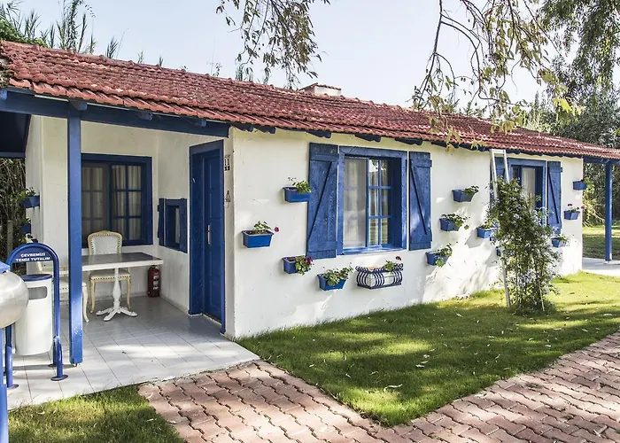Bed & Breakfast Mavi Zeytin Butik Seferihisar
